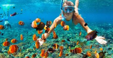 What Makes Telegraph and Seebi Islands Great Spots for Snorkeling?