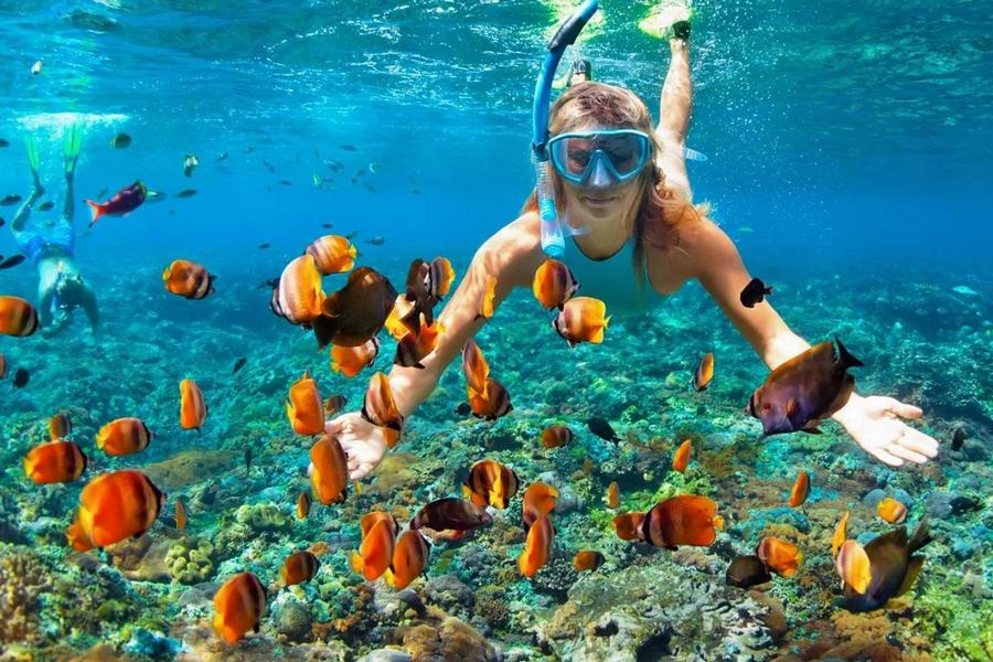 What Makes Telegraph and Seebi Islands Great Spots for Snorkeling?